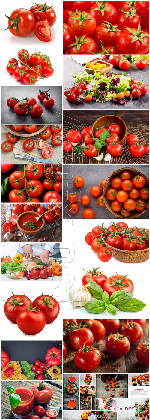 Bright Juicy Tomatoes - 18 HQ Images