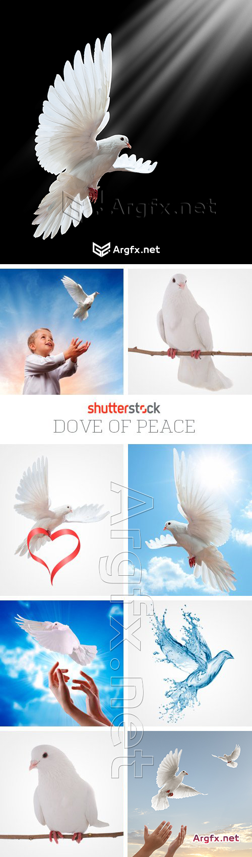 Amazing SS - Dove of Peace, 26xJPGs