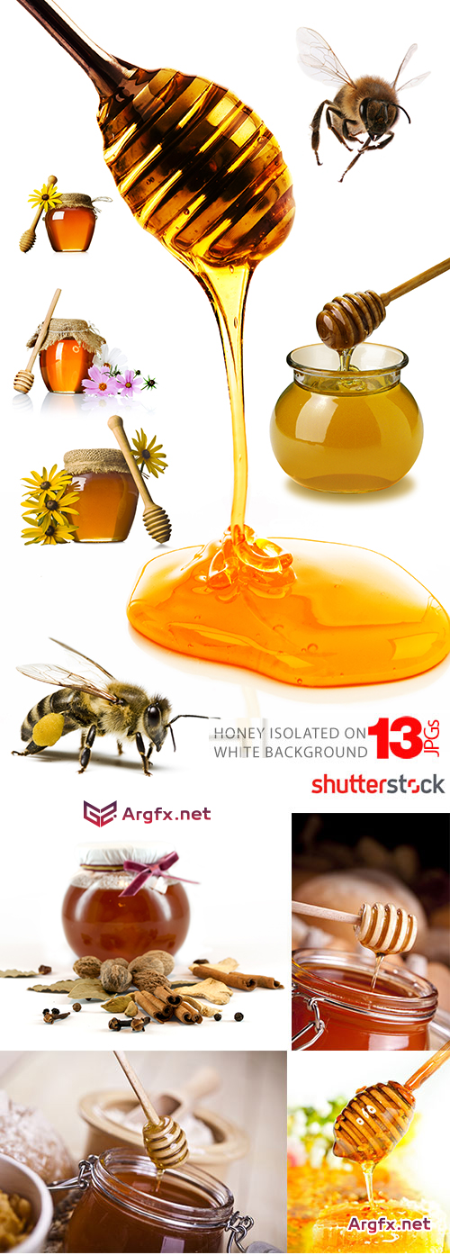 Honey & Bee 13xJPG