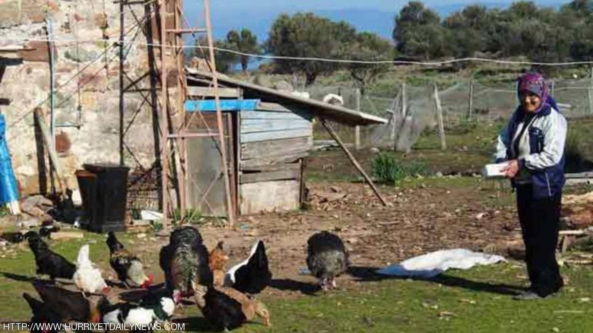 حسين افكان وزوجته يعشان على تربية الدجاج والأغنام