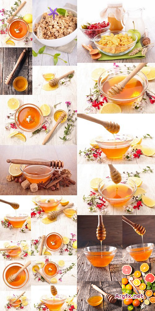  Honey with flower