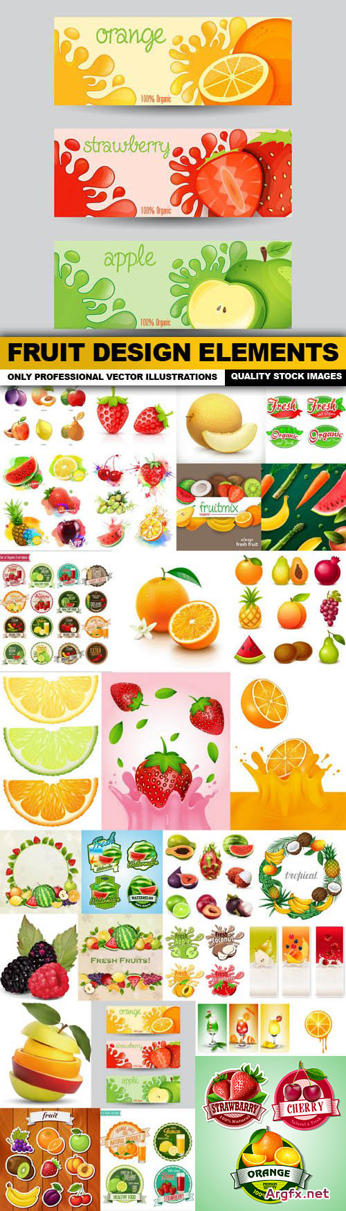 Fruit Design Elements - 30 Vector