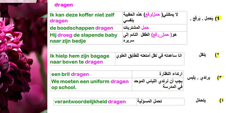 تعرف علي  عدة معاني متشابهة  يحمل dragen باللغة الهولندية مع كلمات أضافية