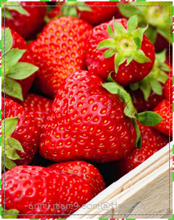 Strawberries  | الفرآولهہ 33> موضوع مميز _ P_665qvj153